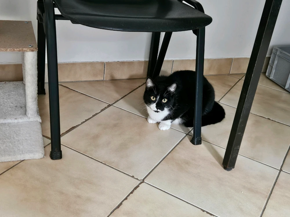 Image ajoutée par Geoffrey