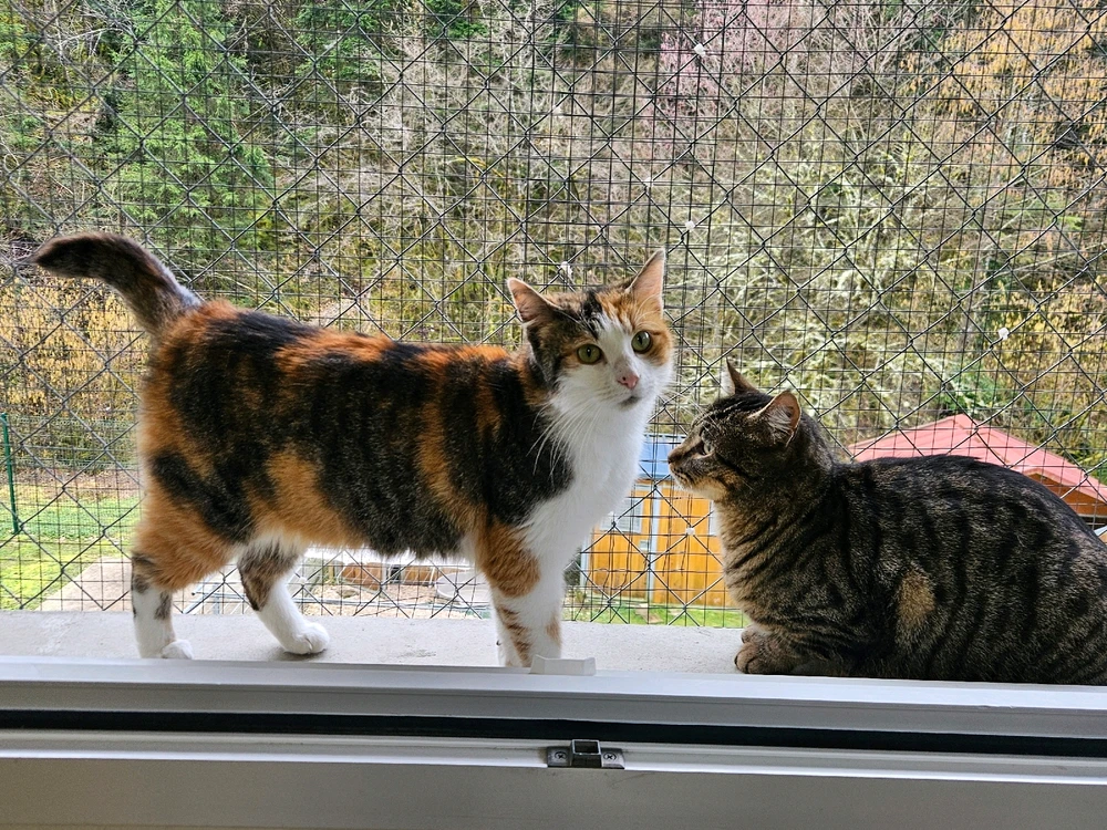 Image ajoutée par Geoffrey