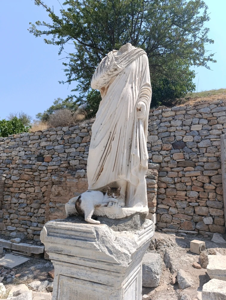 Image uploaded by Arda