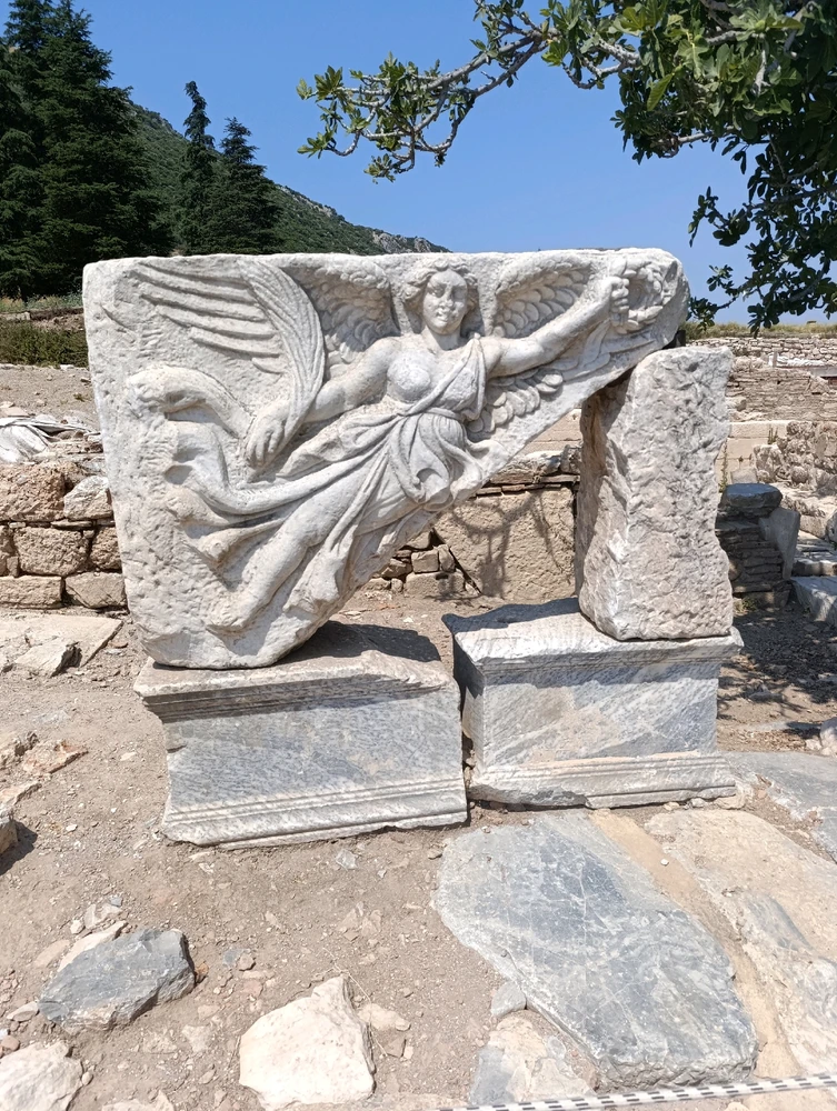 Image uploaded by Arda