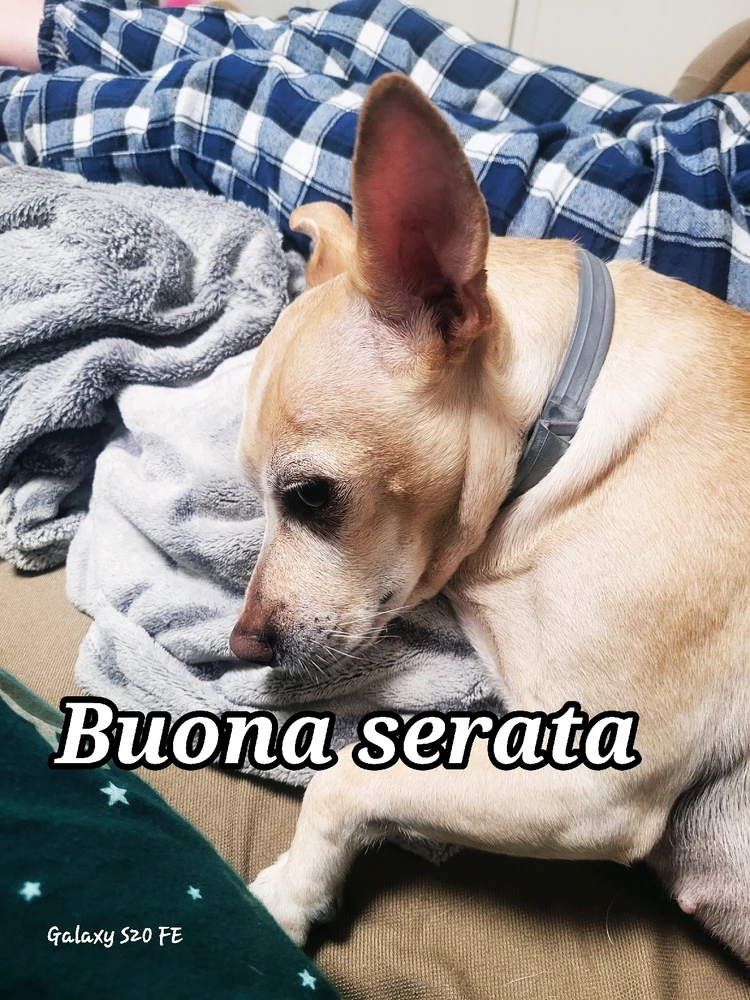 GIF caricata da Luca