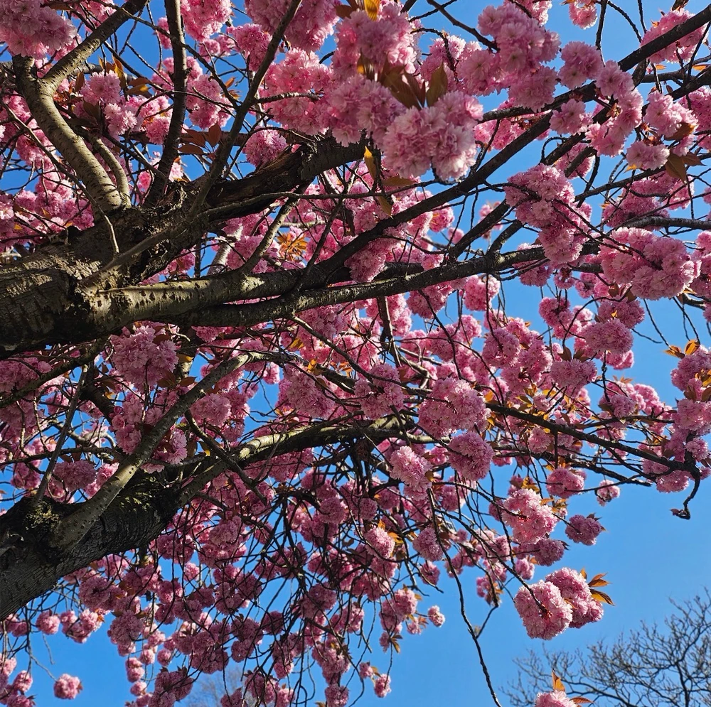 GIF uploaded by Channy