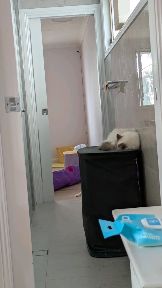 GIF uploaded by Sarah