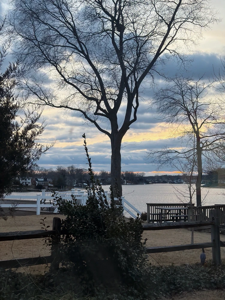 GIF diunggah dening david