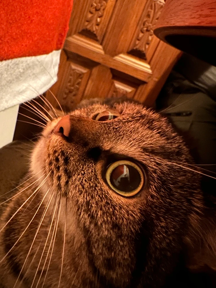 Zdjęcie dodane przez nati