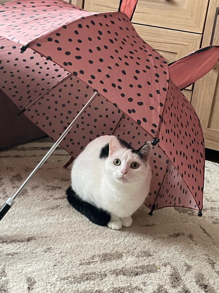 Zdjęcie dodane przez nati