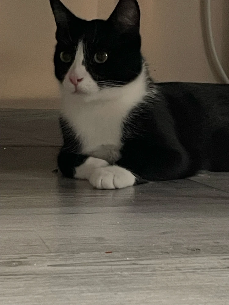 Zdjęcie dodane przez nati