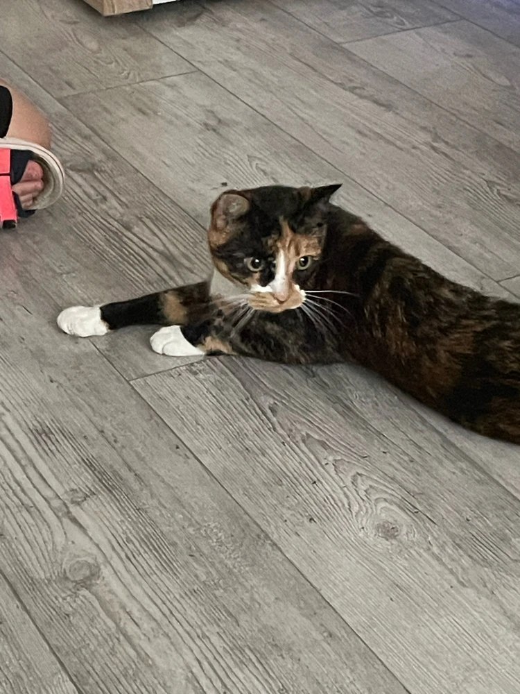 Zdjęcie dodane przez nati