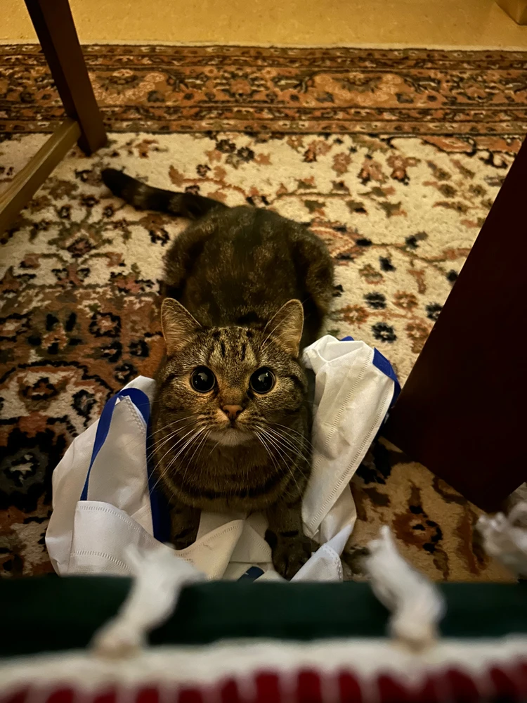 Zdjęcie dodane przez nati