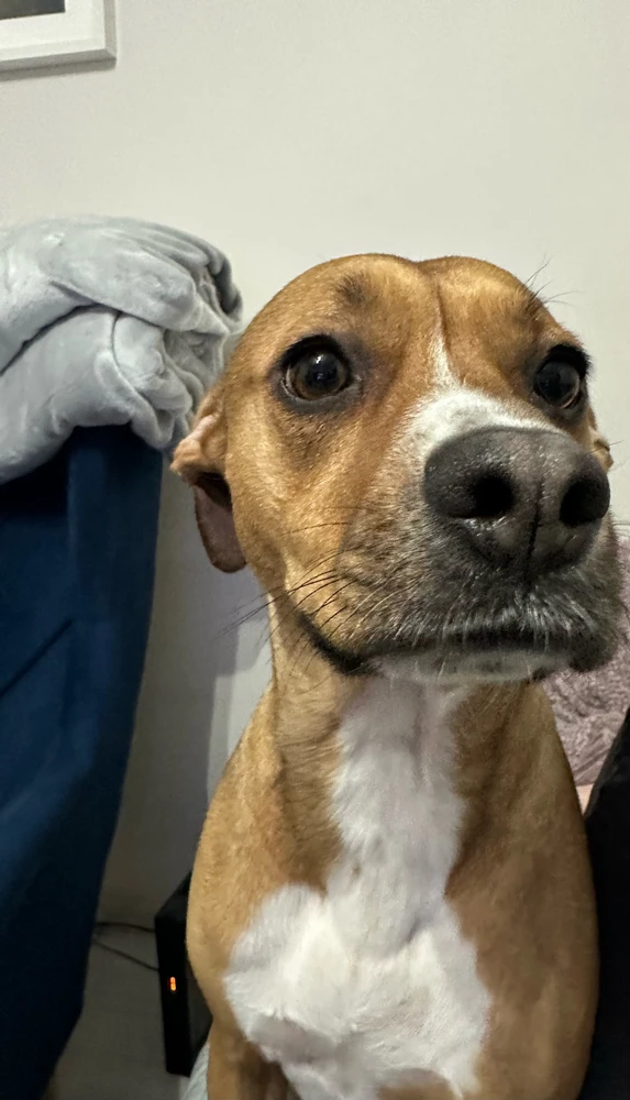 Zdjęcie dodane przez nati