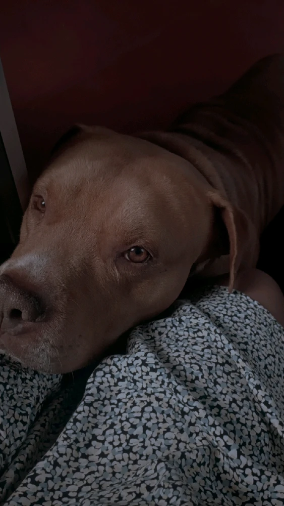 GIF subido por Johana