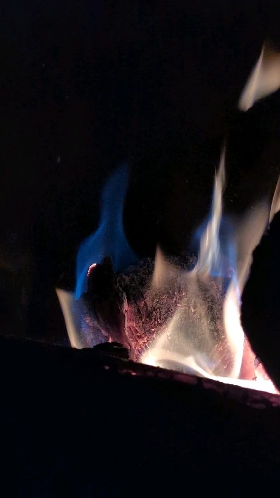 Image uploaded by Julian R