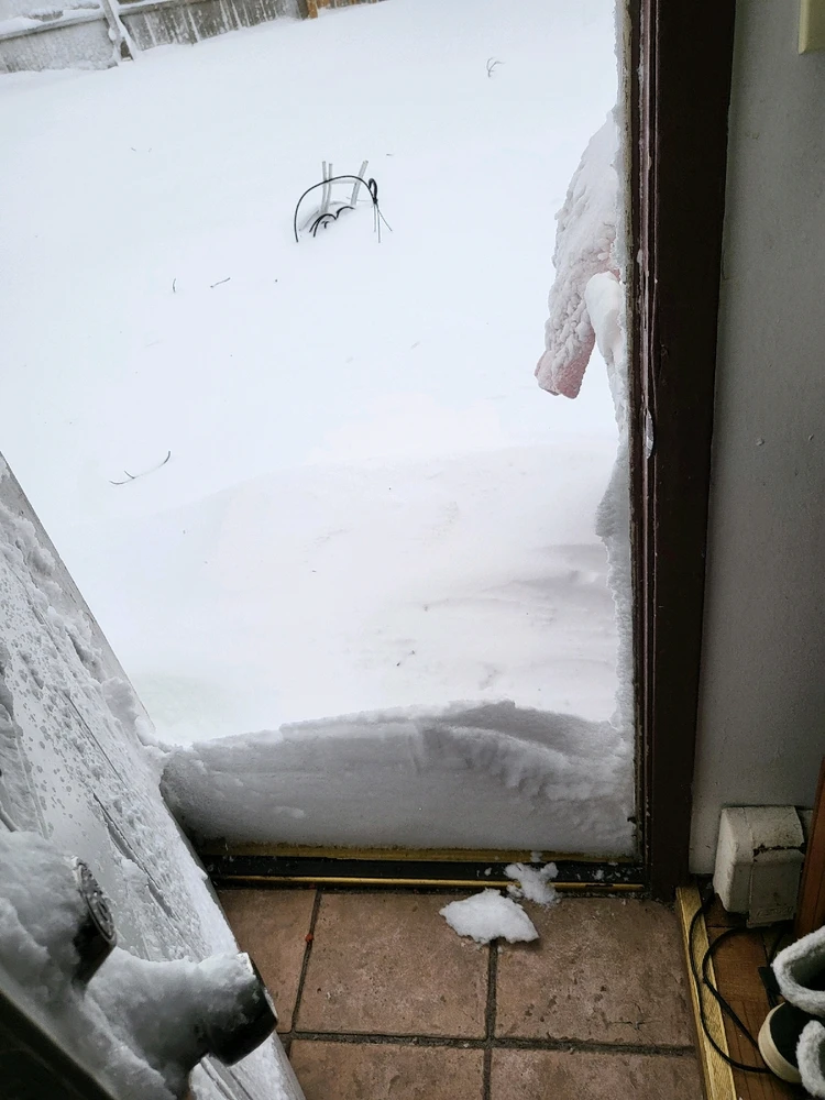 Image uploaded by Mike