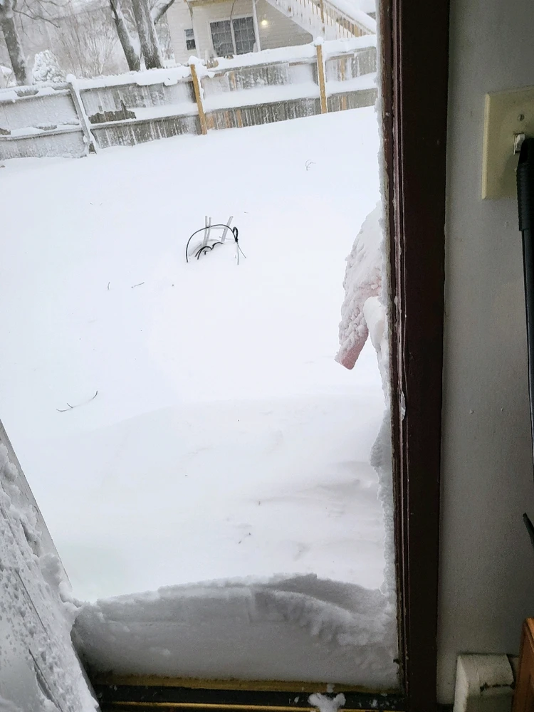 Image uploaded by Mike