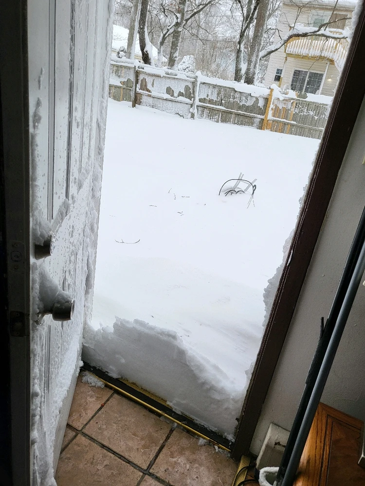 Image uploaded by Mike