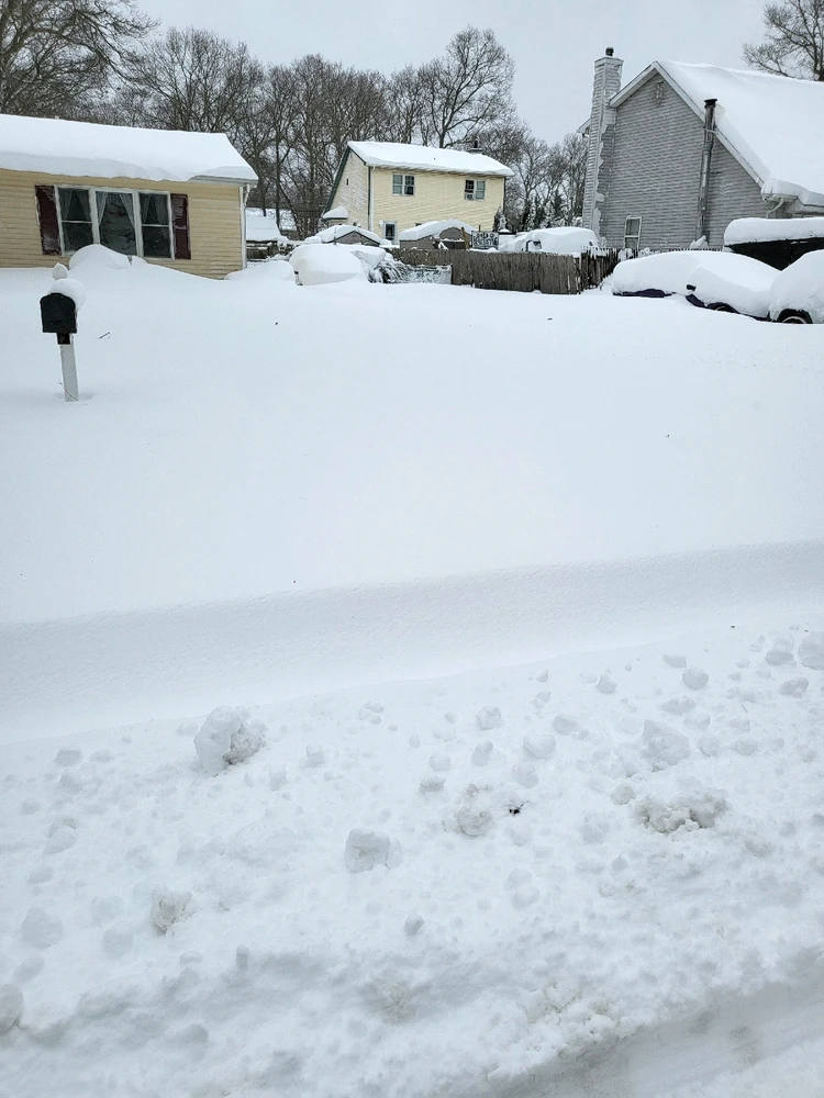 Image uploaded by Mike