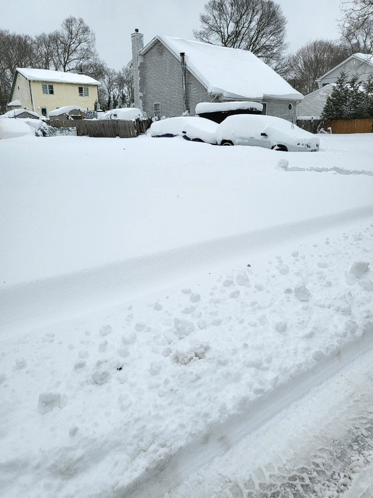 Image uploaded by Mike