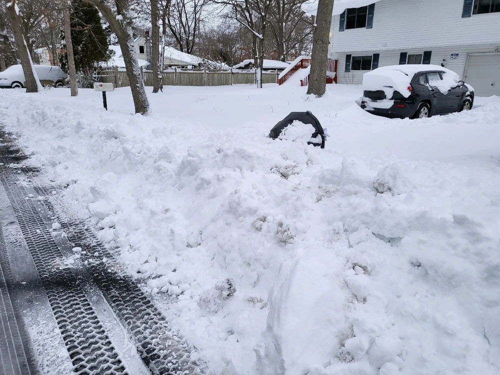 Image uploaded by Mike