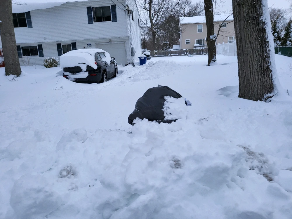 Image uploaded by Mike