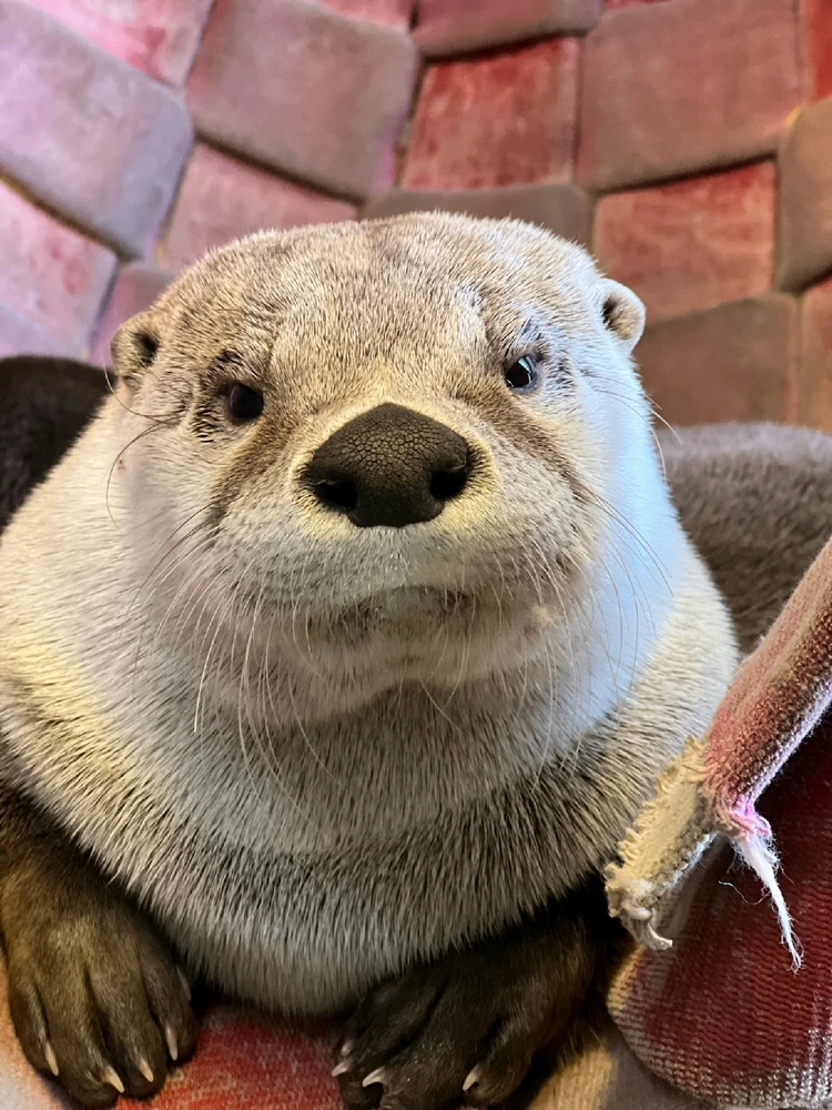 GIF uploaded by Erin