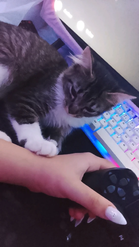 Imagem enviada por emily