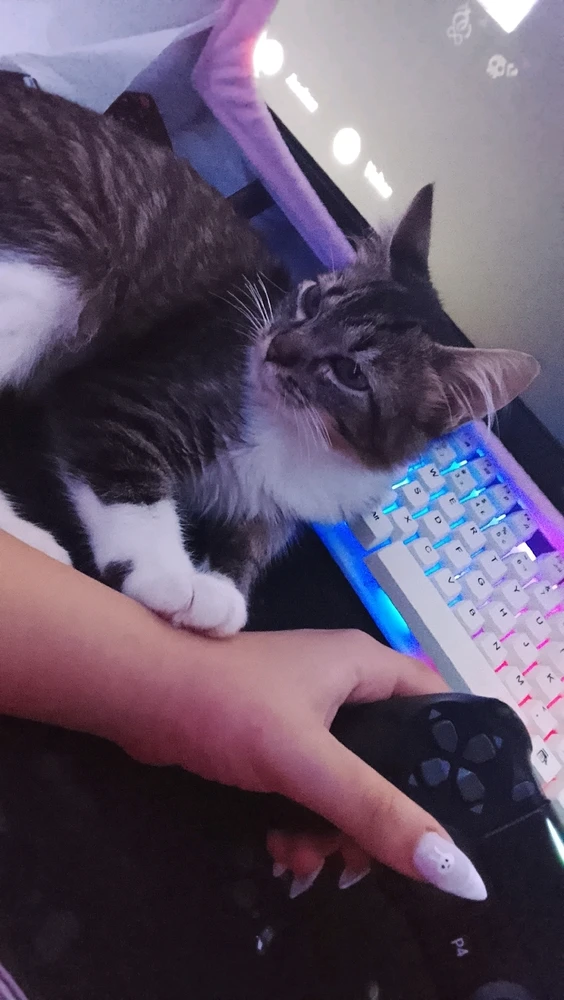 Imagem enviada por emily