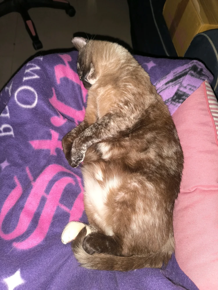 GIF uploaded by Ramon