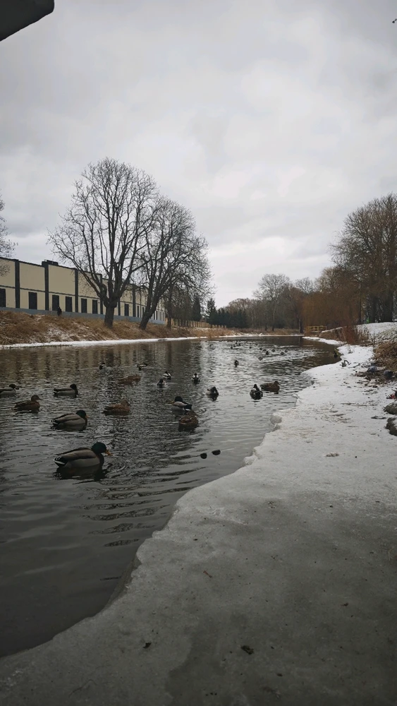 GIF diunggah oleh Za'e