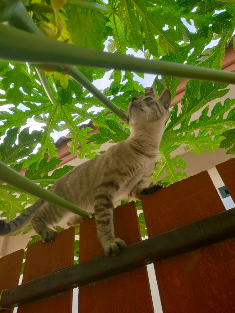 GIF uploaded by Jellyfish