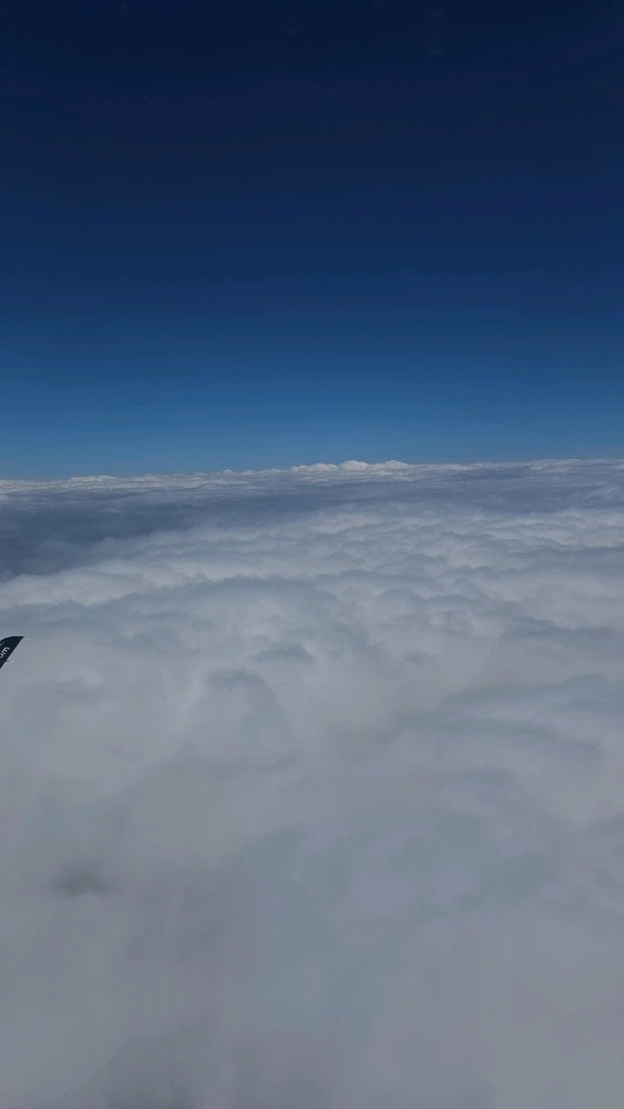 GIF subido por Annia