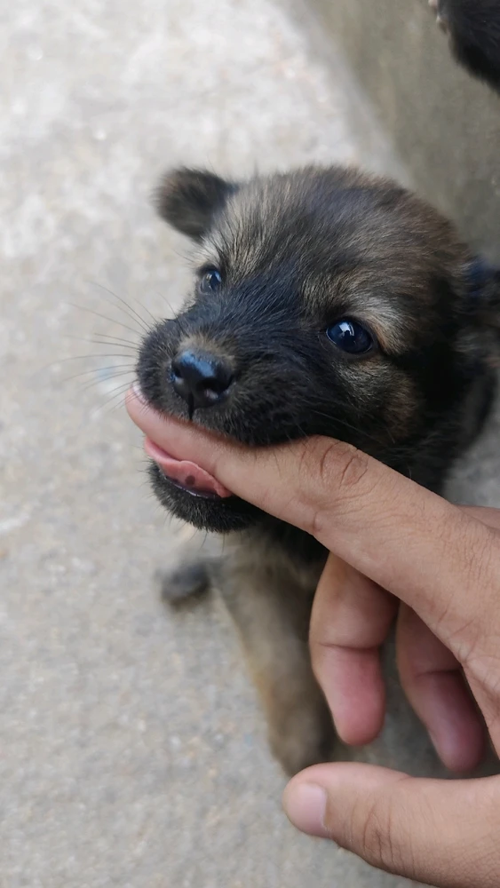 GIF uploaded by Boss