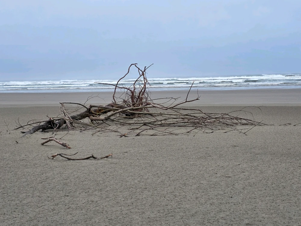 GIF uploaded by Almee