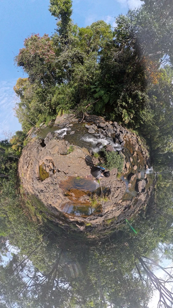 Image uploaded by Kanta