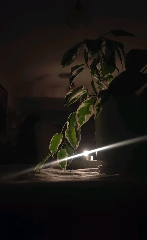 GIF subido por Nacho