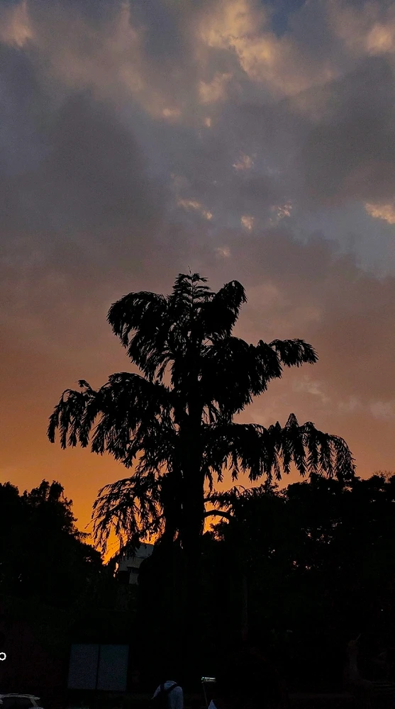 Image uploaded by Arpit