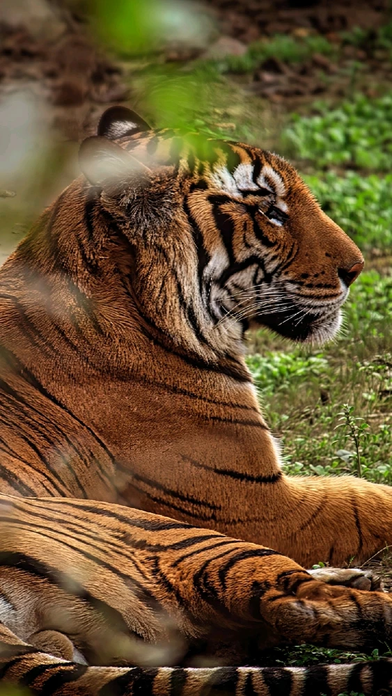 Image uploaded by Max Drew / Raman