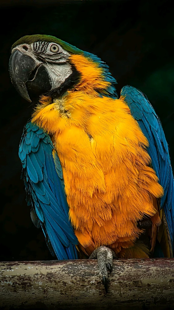 Image uploaded by Max Drew / Raman