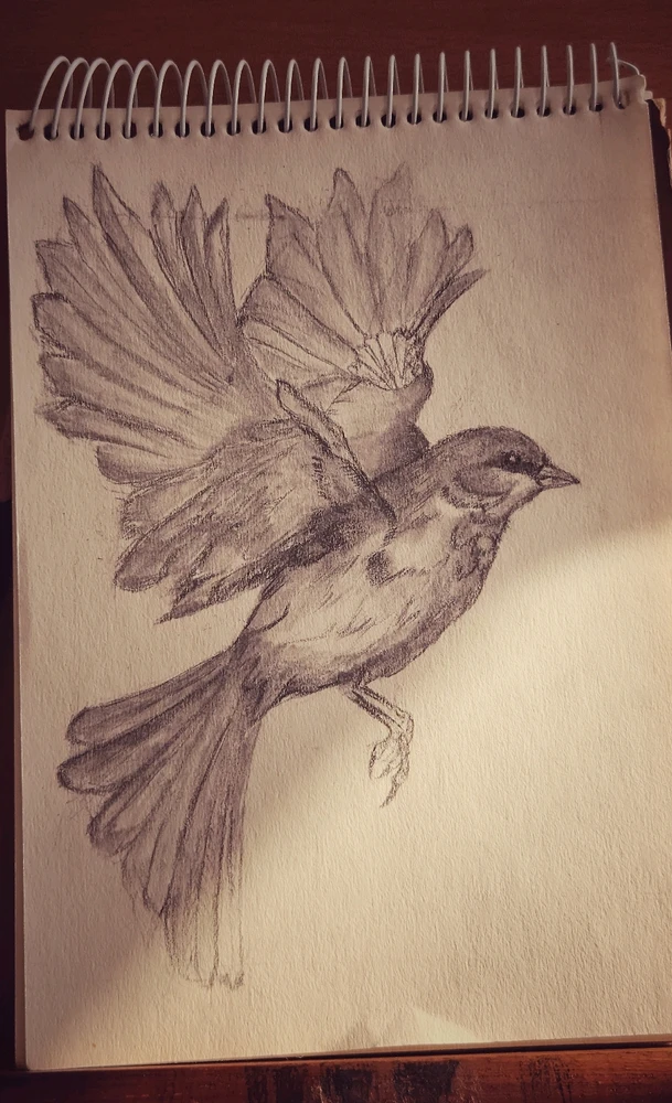 Image uploaded by Max Drew / Raman