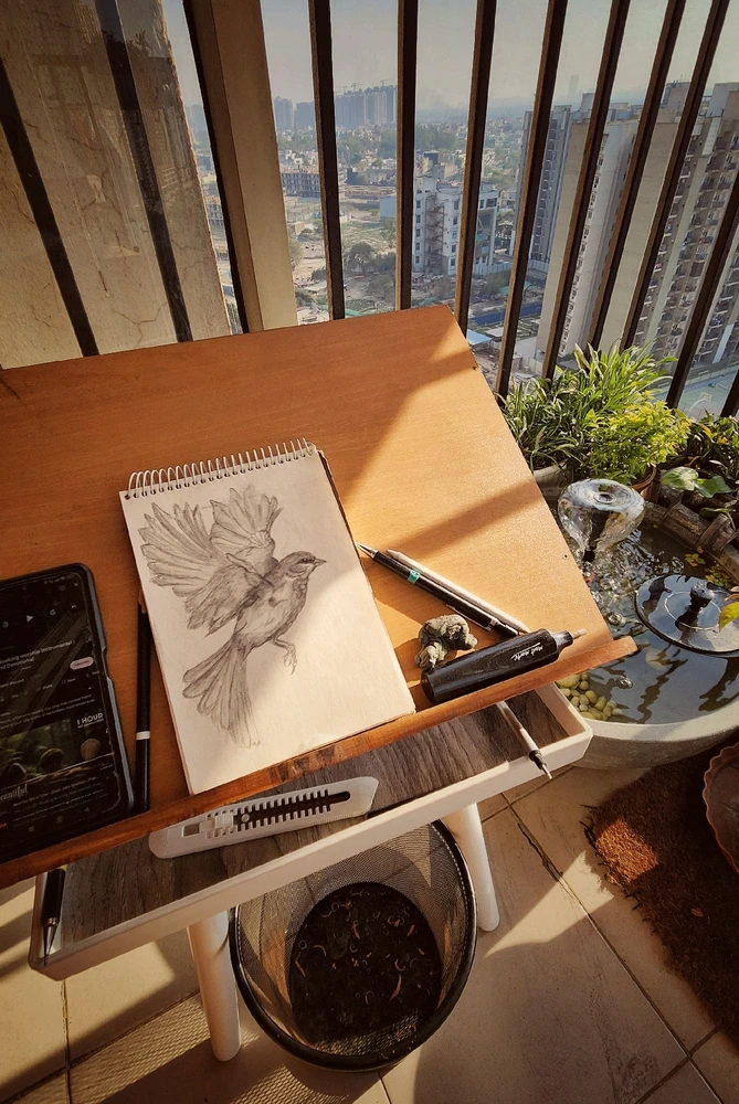 Image uploaded by Max Drew / Raman