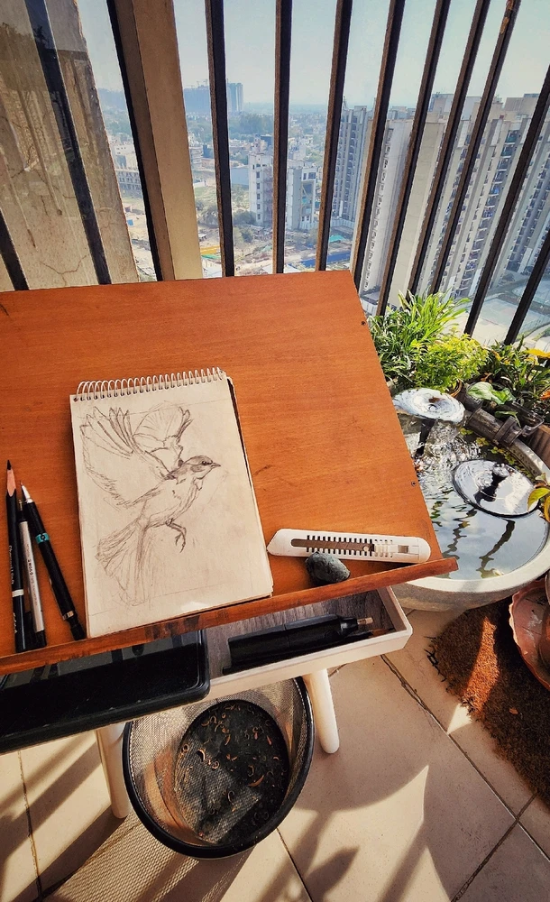 Image uploaded by Max Drew / Raman