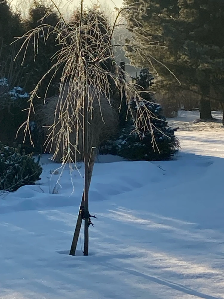 Zdjęcie dodane przez Prometheus