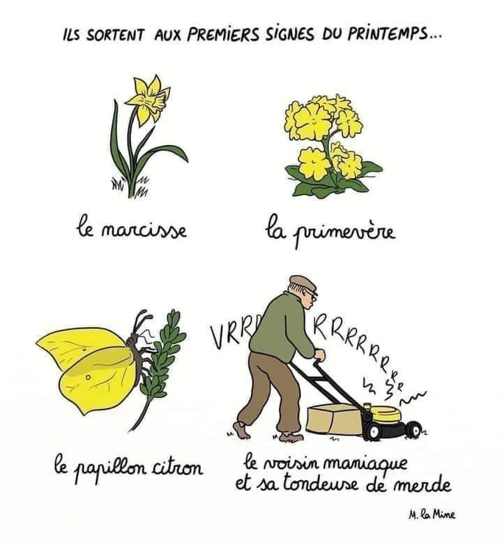 Image ajoutée par Dorian🐞