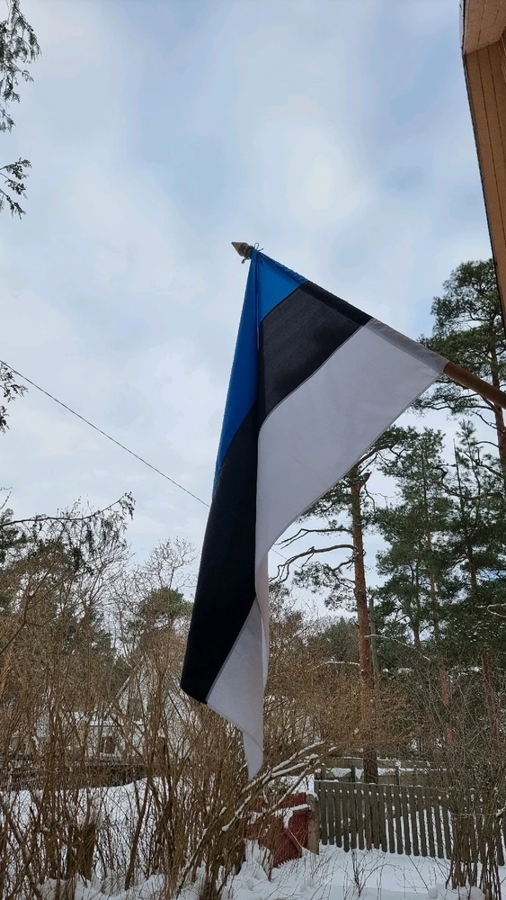 GIF uploaded by Reelika