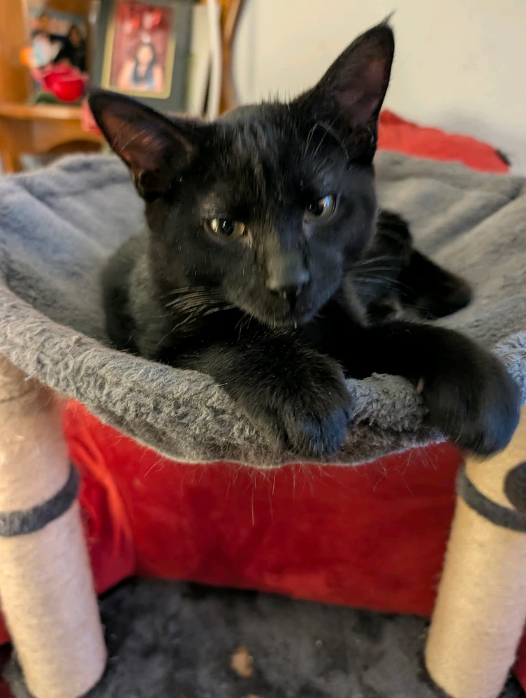 GIF uploaded by Myles