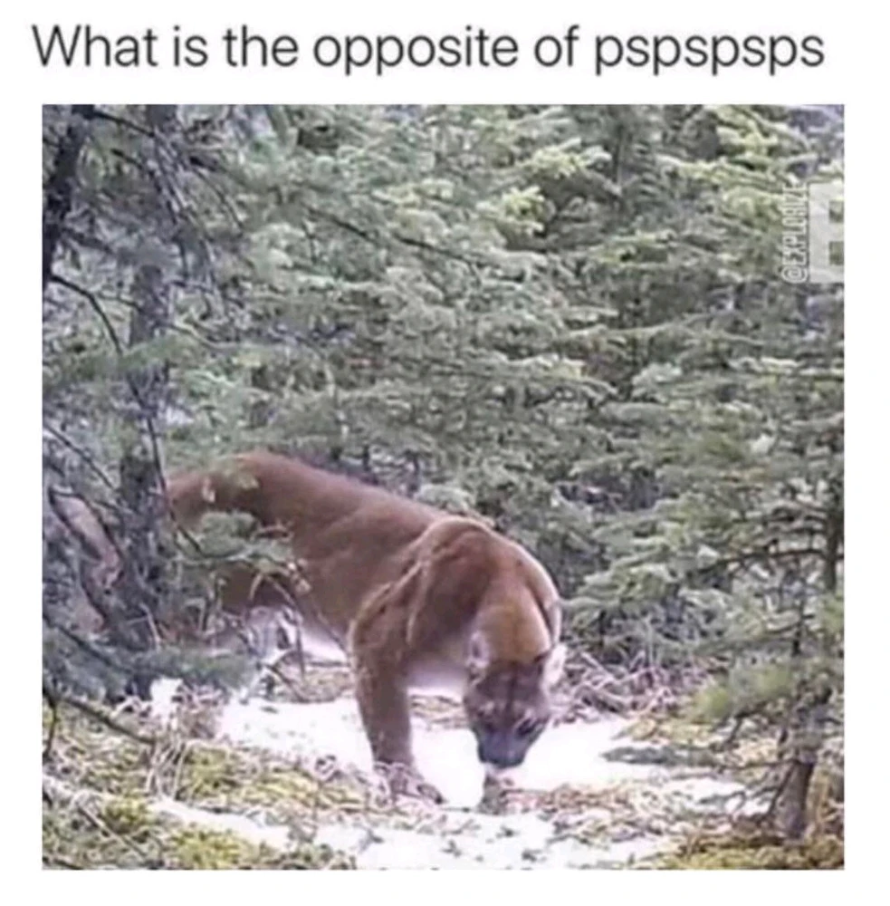 GIF uploaded by Vendel