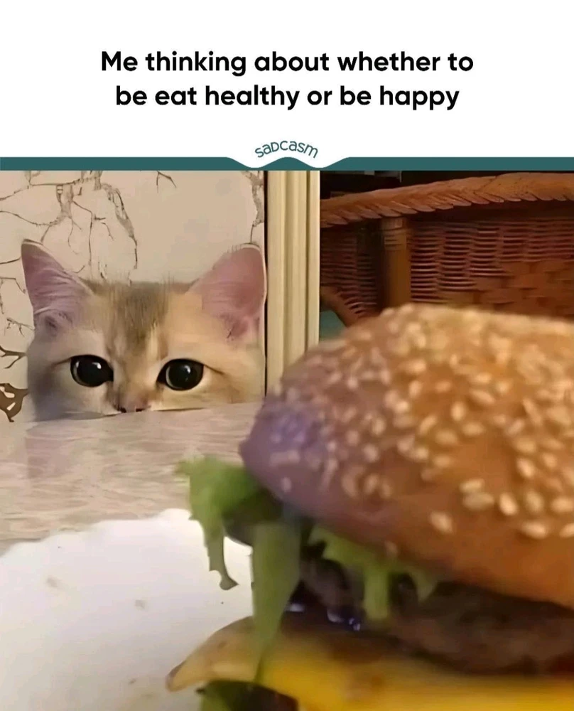 GIF uploaded by Aเผ๐กโณ