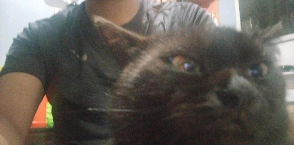 GIF uploaded by Wils