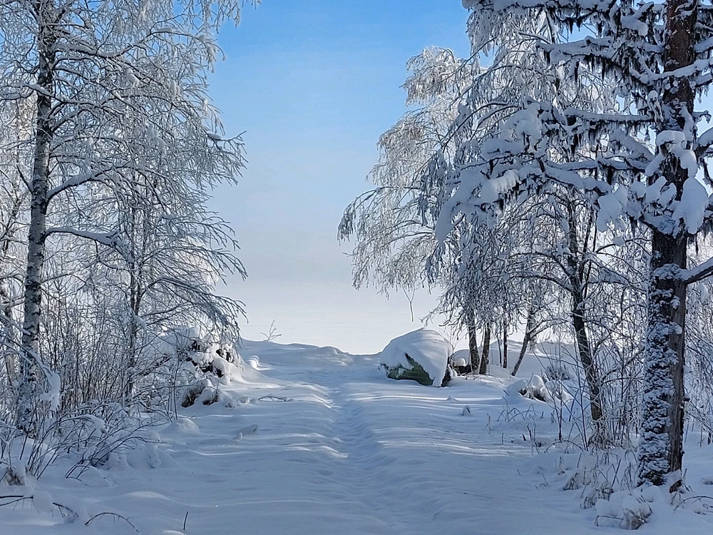 GIF uploaded by FreeDive