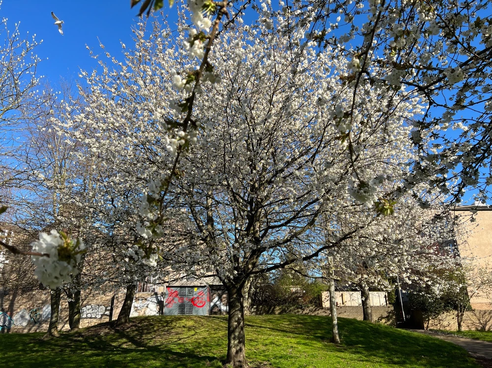 Image uploaded by William