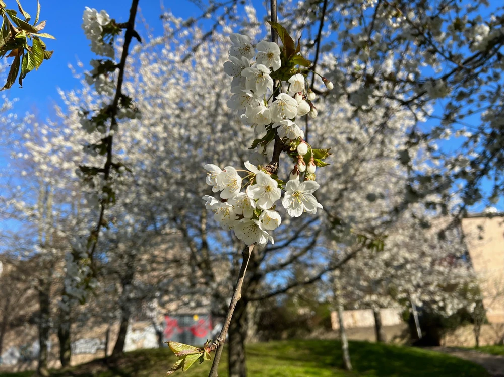 Image uploaded by William